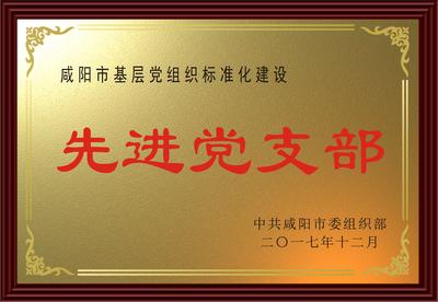 公司党总支部荣获“基层党组织标准化建设先进党支部”荣誉称...