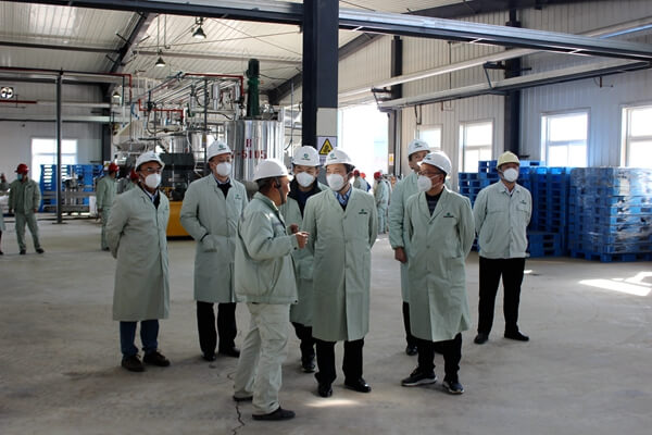 集团公司总经理朱华平、副总经理侯峰到华浩轩公司检查一期装...