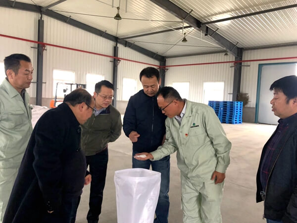 集团副总经理侯峰一行到华浩轩公司检查调研工作