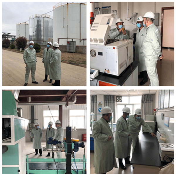 集团党委副书记王建国一行来华浩轩公司开展优秀年轻干部专题...