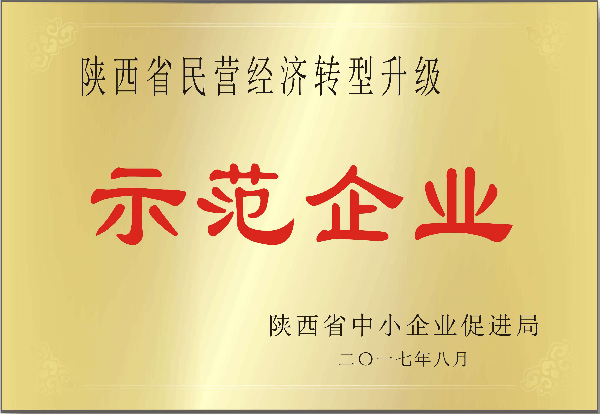 陕西省民营经济转型升级示范企业