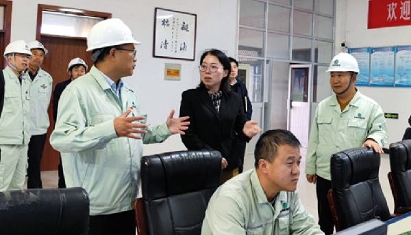 杨孟珠深入重点企业调研工业稳增长和安全生产工作